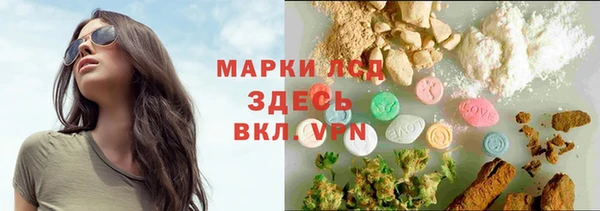 индика Беломорск