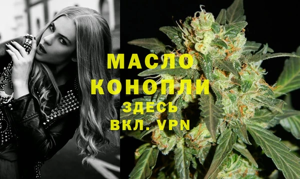 индика Беломорск
