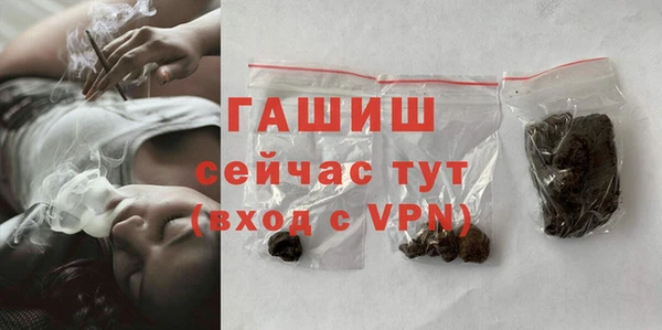индика Беломорск
