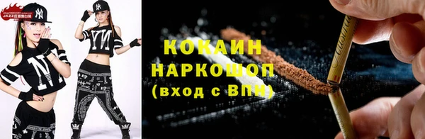 индика Беломорск