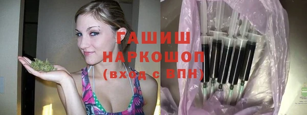 индика Беломорск
