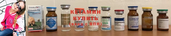 индика Беломорск