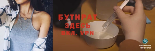 индика Беломорск