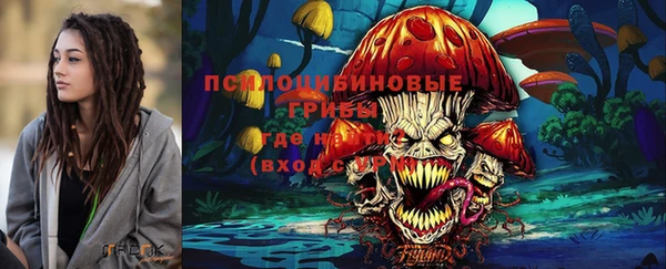 таблы Белокуриха