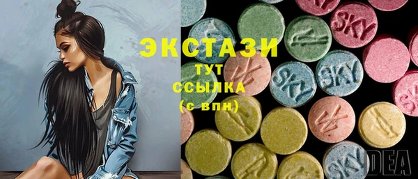 индика Беломорск