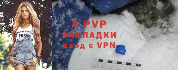 индика Беломорск