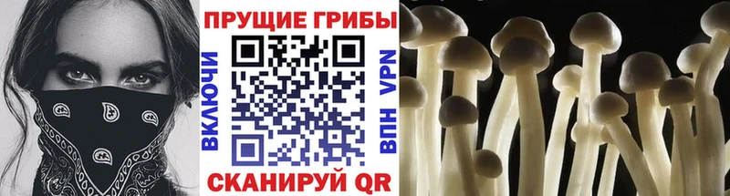 МЕГА зеркало Богданович Галлюциногенные грибы мухоморы