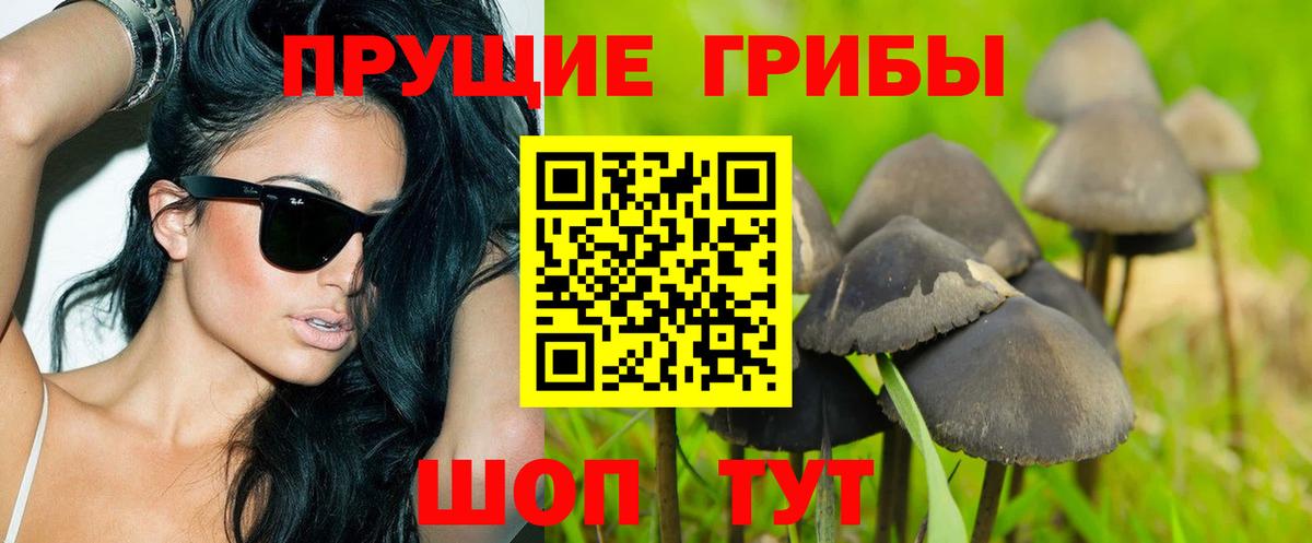 Богданович  Галлюциногенные грибы ЛСД  купить наркоту  Вход с VPN 