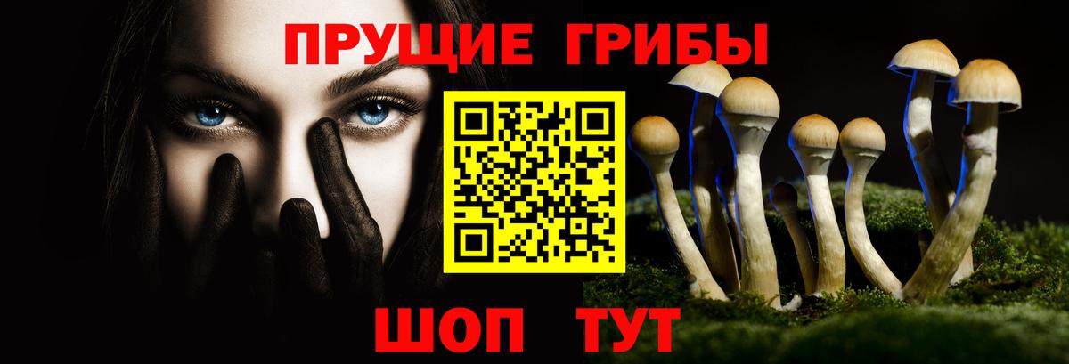 Галлюциногенные грибы мицелий Богданович