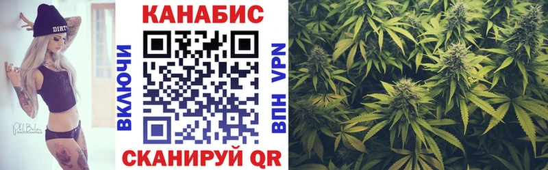 Каннабис планчик  как найти   Богданович 